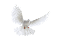 Biltzings Begravelser